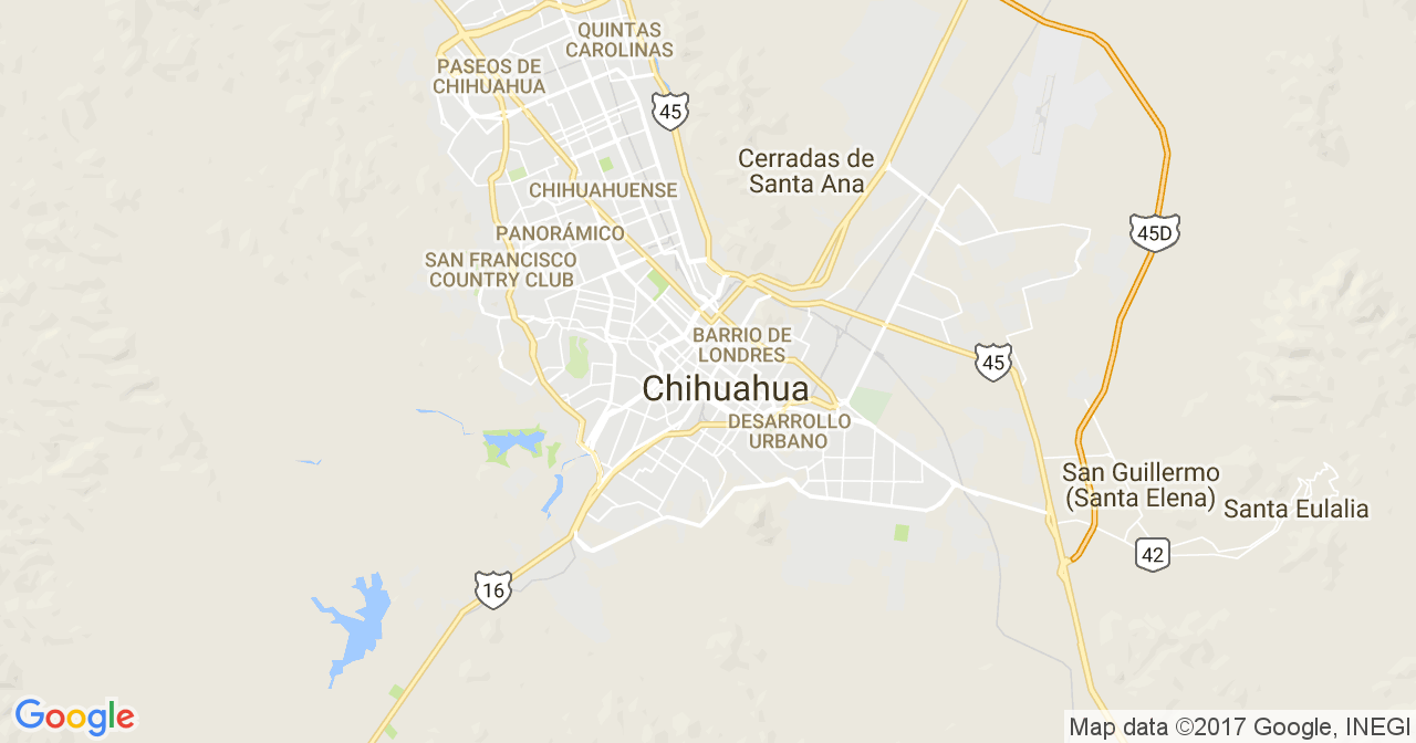 Herbalife Chihuahua